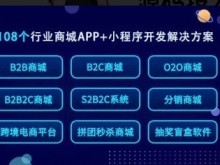 成都系統(tǒng)開(kāi)發(fā)公司