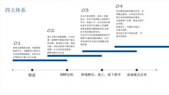 亞馬遜無貨源erp系統優勢,真的可以月入幾萬